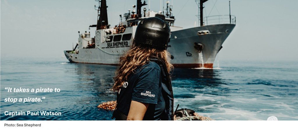 Focus on Sea Shepherd: Why Are We Supporting Their Mission?